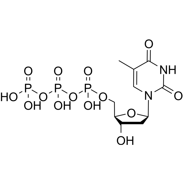 Deoxy-Thymidine triphosphate (dTTP) 365-08-2